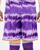25/26 Adult Alternate Away Shorts