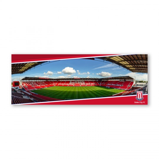 Stadium Panoramic Postcard