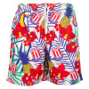 2024 Hawaiian Shorts