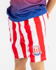 Junior Striped Swim Shorts
