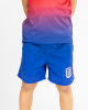 Junior Gradient Swim Shorts