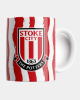 25/26 Home Kit Mug