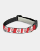25/26 Home Kit Pet Collar