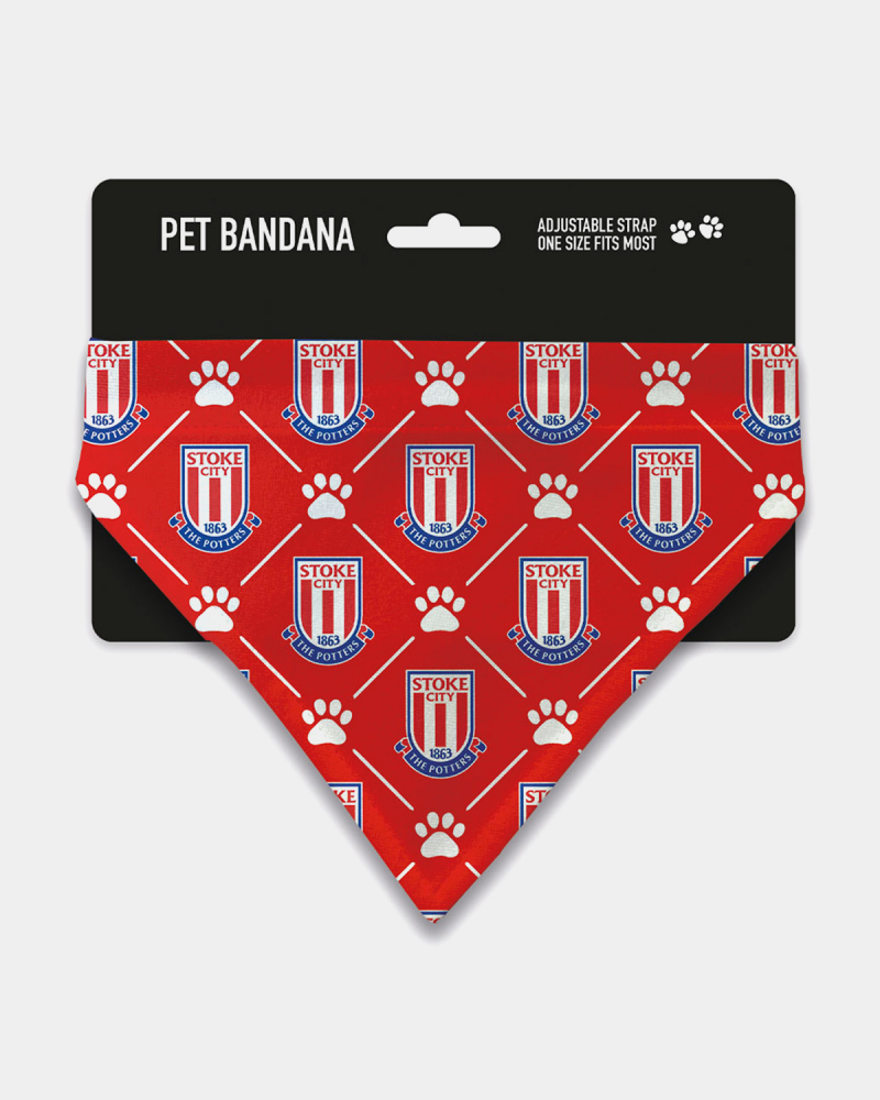 Paw & Crest Pet Bandana