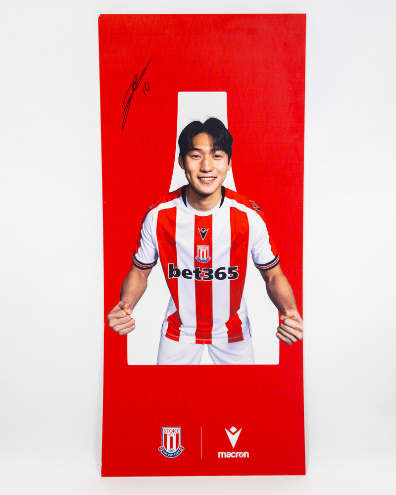 Junho Home 60 x135 Signed Display Board