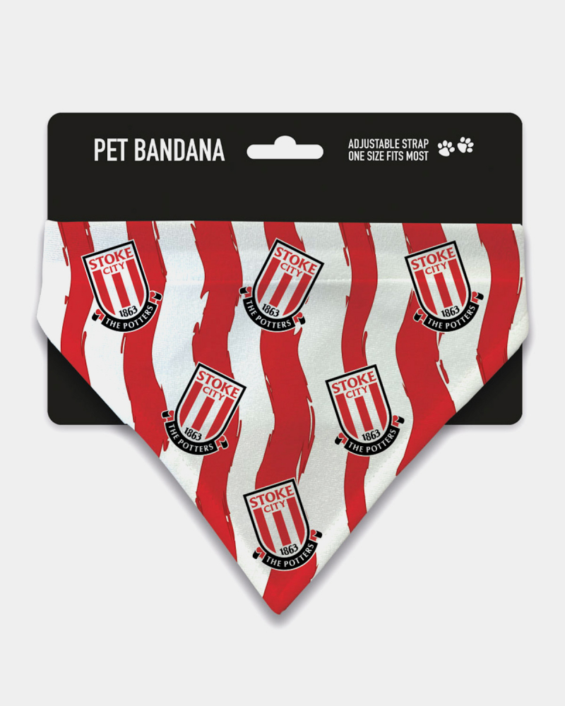 25/26 Home Kit Pet Bandana