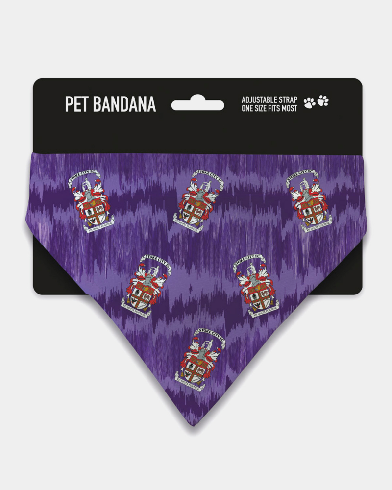 25/26 Away Kit Pet Bandana