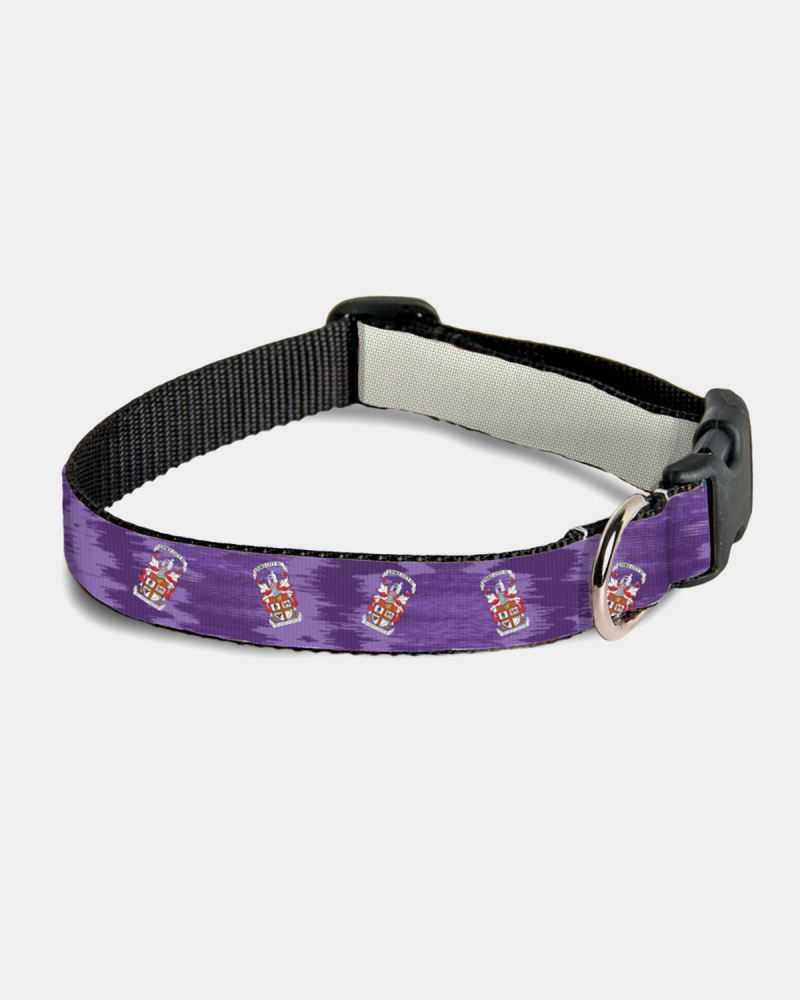 25/26 Away Kit Pet Collar