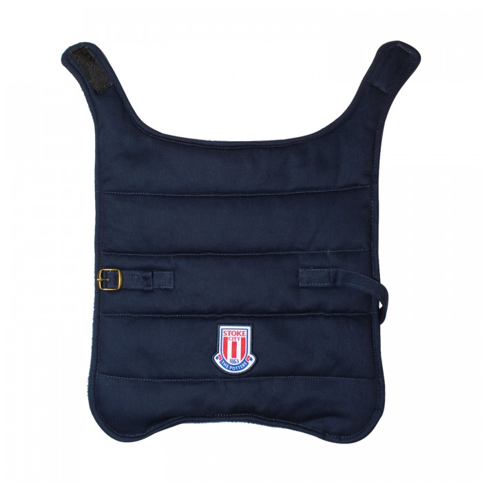 Padded Dog Coat