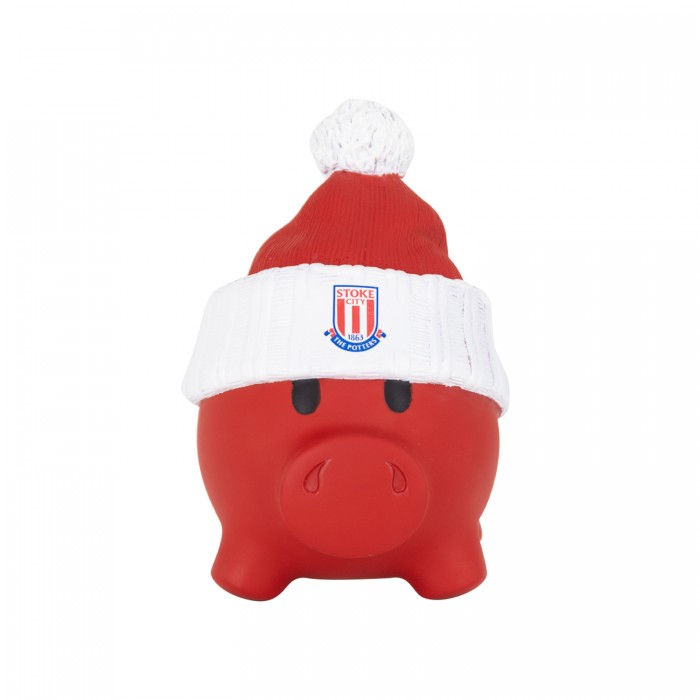 Piggy Bank with woolly hat